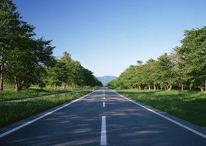 预测伸缩的投资回报率分析